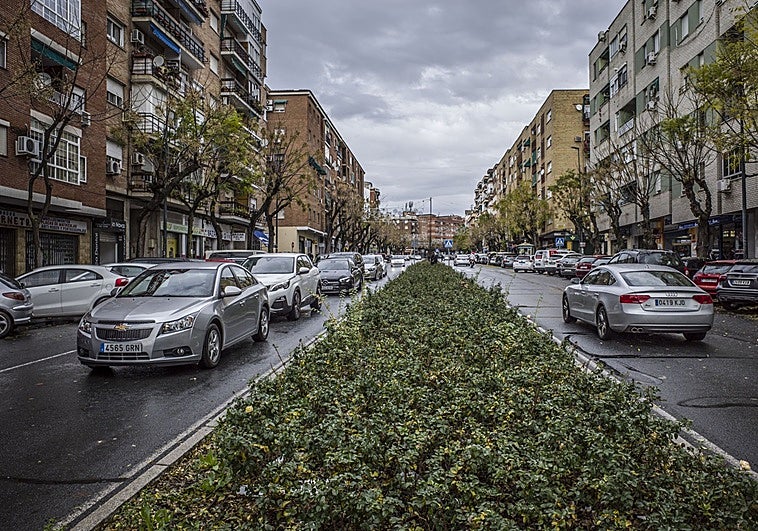 El plan de movilidad propone la reforma de Carolina Coronado
